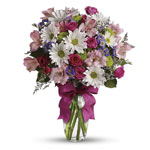 Algeria Flower - Abc Flora