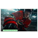 Anaheim Ducks Washington , eTickets