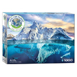 Arctic Jigsaw Puzzle | Dezwerver.nl