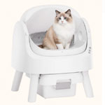AutoScooper 11 Cat Litter Box : Petpivot