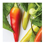 Banana Peppers - Gardyn