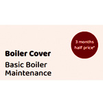 Basic Boiler Maintenance Plan : PlusHeat