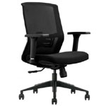Stane Classic Basic Ergonomic Office Chair : Leapp