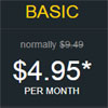 Basic Web Hosting 