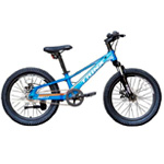 Bicycle Trinx 20 Seals : VelikShop