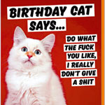 Birthday Cat Says Card , Deanmorriscards.co.uk
