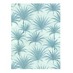Bismark Palm : Wallshoppe