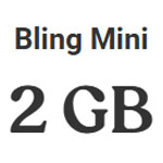Bling Mini 2 GB | Bling
