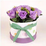 Box Palma Flower | Blumenversand-edelweiss.de