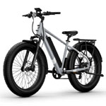 Bqi Fat Tire 300 Off Road Ebike - Shop.niu.com