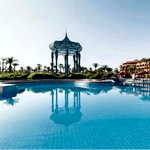 Calimera Blend Paradise | Its.de