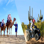 Camels + Atv + Lunch Tour | Cabo-adventures.com