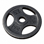 Cast Iron Disc - Gorilla Sports