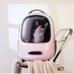 Cat Carrier Gradient Pink , Petkit