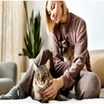 Cat Hotel Warsaw : Petsy