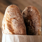 Celiac Disease Profile | Vivolabs.es