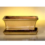 Olive Green Ceramic Bonsai Pot - Bonsai Boy