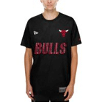 Chicago Bulls Shirt : 59caps.com