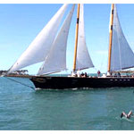 Classic Day Sail Aboard Schooner : Trusted Tours And Attractions