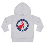 Core Toddler Pullover Fleece Hoodie - BillyFootwear