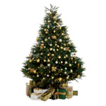 Ctw 230v Starter Plug Set - Christmas Tree World