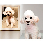 Custom Pet Clay Figurines 1 Pet : Taodcr