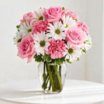Daisy And Rose Delight - FlowerAdvisor