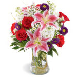 Dash Of Vibrance , Just Flowers