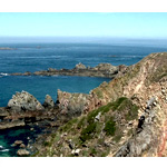 Day Trip To Alderney - Wingly.io