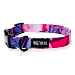 Daydream Dog Collar : Wolfgangusa