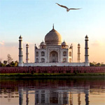 Delhi Round-Trip Flight : ASAP Tickets