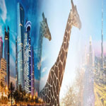 Desert Days 7 Nights Booking - Celestyal Cruises