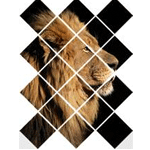 Diamond Photo Multi-Panel - Buitenposter