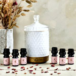 Diffuser Breathe and Rest Calm Oil Sets , Bcalm