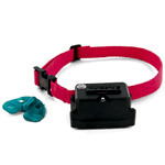 Stubborn Dog Fence Collar : Radiofence.com