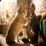 Dog Hotel Cracow | Petsy PL