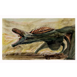 Dragon Fire | EmekaChukwudifu