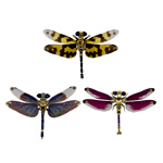 Steampunk Dragonfly 3D Metal Puzzle : Moyustore.com