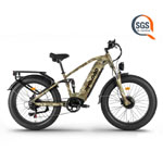 Dual Motor Electric Bike | Philodobikes.com