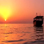 Dubai Canal Cruise & Dinner By Al Hoot | Cobone