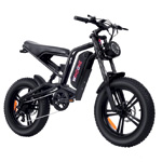 E2 Fat Tire Off-Road Adventurer - Windone