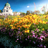 Best Of Eastern Canada - Trafalgar
