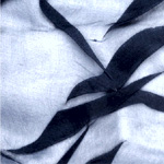 Embroidered Organza Silk : NY Designer Fabrics