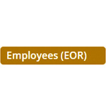 Employees (EOR) Plan - Remundo