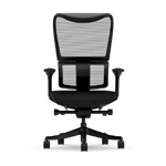 Ergonomic Chair - FlexiSpot