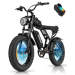 Fat Tire Ebike : Ridstar