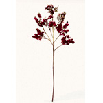 Faux Berry Branch | Afloral.com