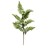 Fern Spray Set Of 6 | Artificialplantsandtrees.com