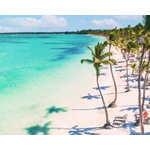 Flights To Punta Cana : Cocha