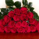 Freedom Red Roses 100 Stems | Jrroses.com